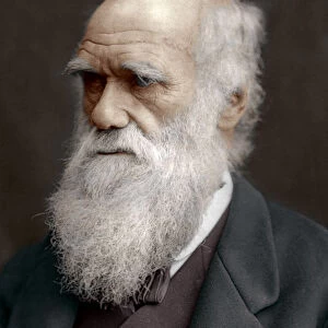 Charles Darwin, British naturalist, 1878