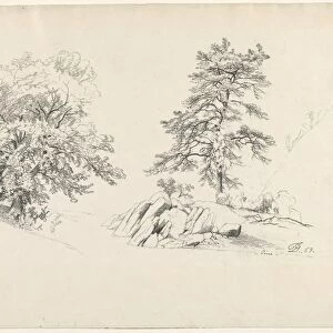 Chestnut and Pine, 1869. Creator: David Johnson (American, 1827-1908)