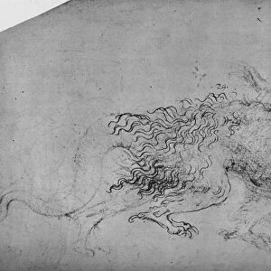 A Dragon, c1480 (1945). Artist: Leonardo da Vinci