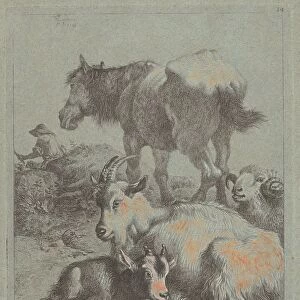 Horse, Ram, Goat with Kid; In the Distance a Shepherd with Flock, 1759