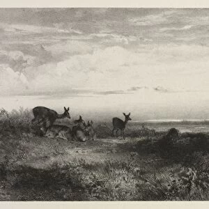 Landscape with Deer, c. 1840. Creator: Karl Bodmer (Swiss, 1809-1893)