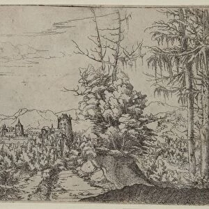Landscape with Two Pines, 1522-1525. Creator: Albrecht Altdorfer (German, c. 1480-1538)