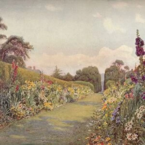 The Long Border, Holme Lacy, (1903). Artist: Ernest Arthur Rowe