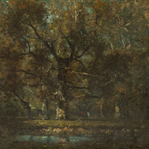 Oak Tree, 1895. Creator: Henry Ward Ranger