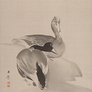 Pair of Ducks, 1887-92. Creator: Gyokusho Kawabata
