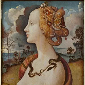 Portrait of Simonetta Vespucci (Cleopatra), c. 1480. Artist: Piero di Cosimo (ca 1462-ca 1521)