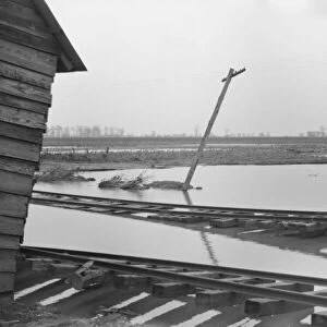 Possibly: Farmyard covered with flood waters near Ridgeley, Tennessee, 1937. Creator: Walker Evans