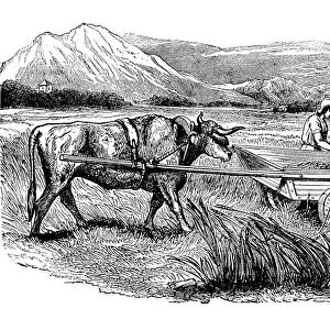 Reconstruction of Roman reaping cart, as described by Pliny, Engraving, 1860