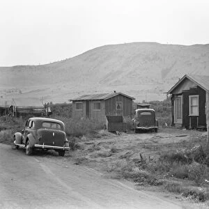 Shacktown in Altamont district, near Klamath Falls, Klamath County, Oregon, 1939. Creator: Dorothea Lange