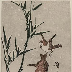 Sparrows, Bamboo and Falling Snow, c. late 1820s. Creator: Keisai Eisen (Japanese, 1790-1848)