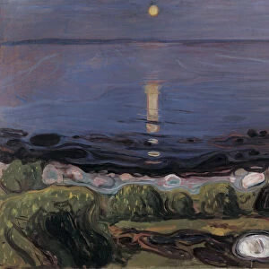 Summer Night by the Beach. Artist: Munch, Edvard (1863-1944)