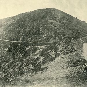 Summit of Mount Blowhard, Victorian Alps, 1901. Creator: Unknown