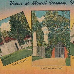 View at Mount Vernon, Virginia, 1946
