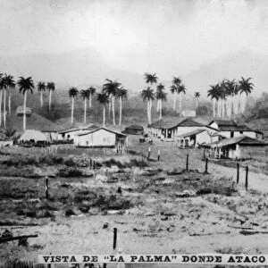 View of Palma, (1896), 1920s
