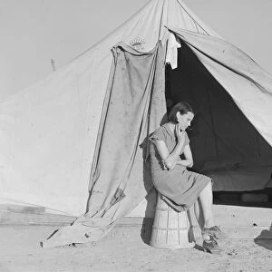Young migrant mother... FSA emergency camp, Calipatria, California, 1939. Creator: Dorothea Lange