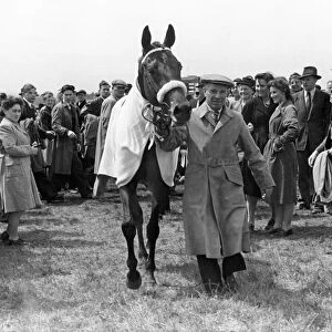 The Derby 1947. The winner, Pearl Driver, being led from the course