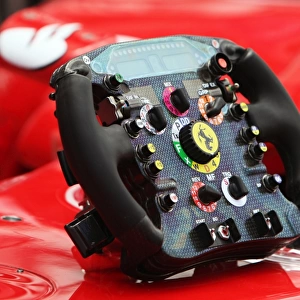 Formula One World Championship: Ferrari F10 steering wheel