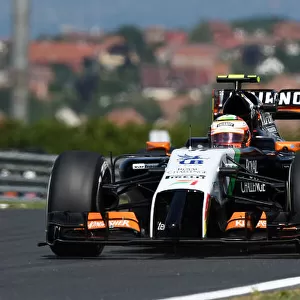 Formula One World Championship, Rd11, Hungarian Grand Prix, Practice, Hungaroring, Hungary. Friday 25 July 2014