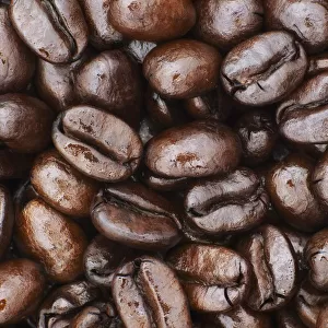 Medium Dark Roast Kona Coffee Beans Close Up; Holualoa, Big Island, Hawaii, United States Of America