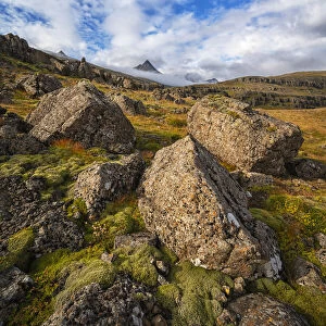 Rugged Icelandic landscape