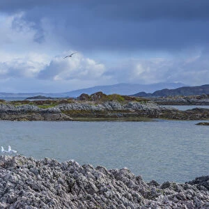 Scottish coast with seagulls and cloudy sky over the ocean at Mallaig in Scotland, United Kingdom