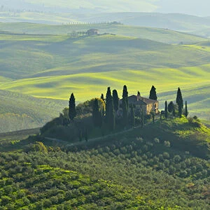 Tuscany Countryside with Farmhouse, San Quirico d Orcia, Val d Orcia, Province of Siena, Tuscany, Italy