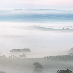Typical Tuscany landscape in morning with fog, in foreground is Podere Belvedere a farm near San Quirico d Orcia. Val d Orcia, Orcia Valley, Siena district, Tuscany, Toscana, Italy
