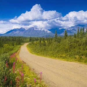 View Of The Mentasta Moountains From Nabesna Road In Wrangell Saint Elias National Park, Southcentral Alaska, Summer