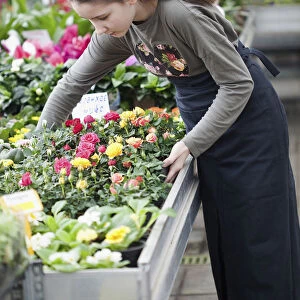 Young girl working in garden centre