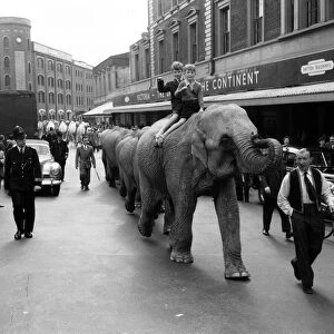 Billy Smarts Circus animals leaving Victoria, london. 18th September 1955