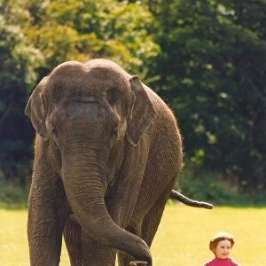 An elephant being led by a child