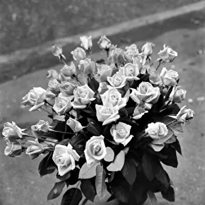 Flowers - Bunch of "Roses". January 1975 75-00040