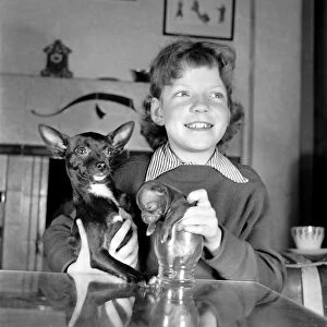 Little girl and pup: Educating Archie to sit in a glass is ten-year-old Carol Stuart