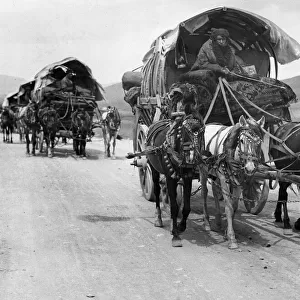 Persia May 1926 A supply caravan crossing the mountains on their way to Teheran