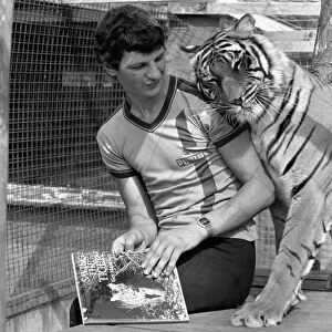 Trainee zoo keeper Keith Farrell face to face with a tiger August 1981