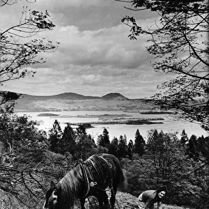 Woman and Horse at Loch Lomond 1942