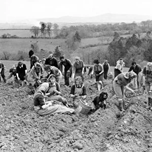 World War II Dig for Victory Office girls and other volunteers planting