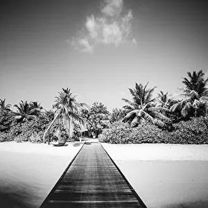Dramatic landscape of paradise tropical island beach with perfect sunny sky, artistic black and white process