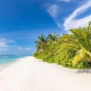 Tropical beach panorama view, summer landscape, palm trees and white sand, horizon of calm sea for beach banner. Relax nature of beach scene, vacation