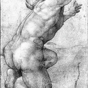 Male nude. Study attributed to Michelangelo, preserved in the Ambrosian Portrait Gallery, Milan