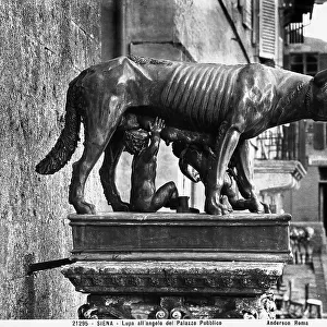 The Sienese she-wolf; sculpture by Giovanni di Turino, placed outside the Palazzo Pubblico (Town Hall) of Siena