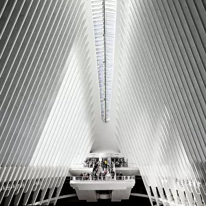 New York City, Lower Manhattan, Inside Oculus at Westfield World Trade Center, Architectural ribs