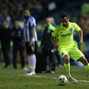 Brighton and Hove Albion vs. Sheffield Wednesday: Championship Play-Offs First Leg at Hillsborough (May 2016)