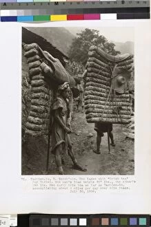 Men laden with Brick tea for Tibet, 1908