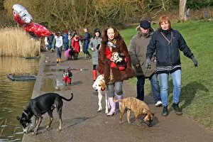 All Dogs Matter Valentines Dog Walk, Hampstead Heath, London