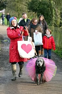 All Dogs Matter Valentines Dog Walk, Hampstead Heath, London