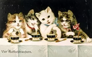 Four cats drinking coffee