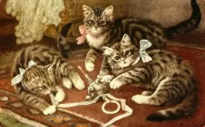 Three kittens playing with a babys rattle