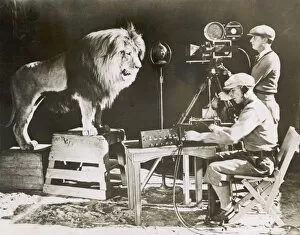 MGM LION
