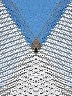 Abstract visualization, wire mesh